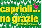 Caprioli no grazie